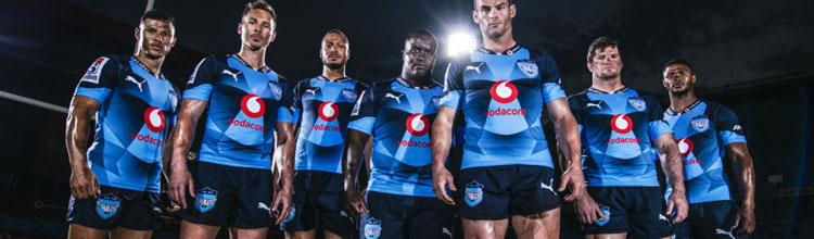 camiseta rugby Bulls